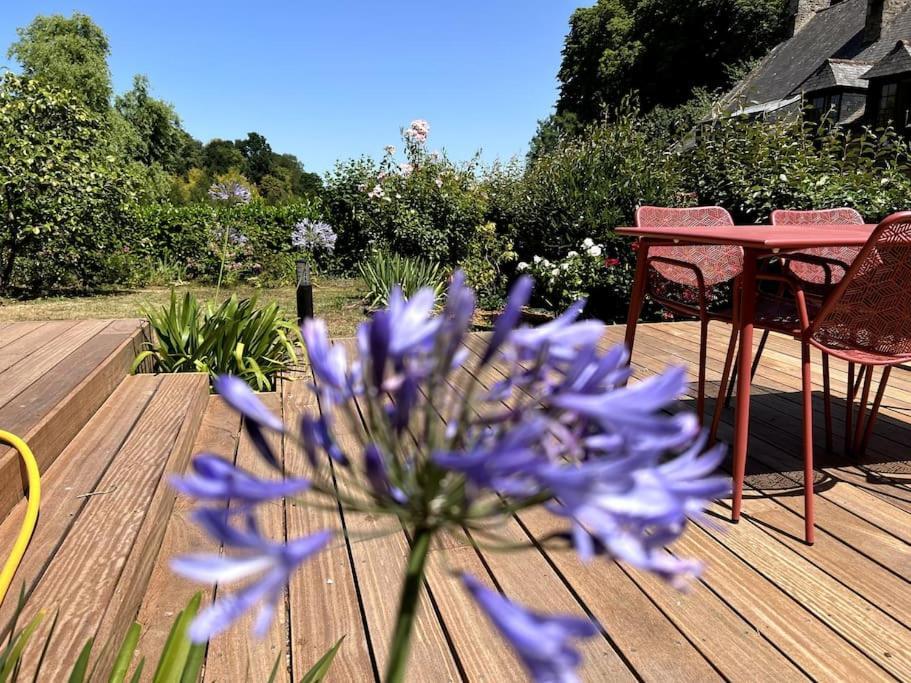 Superbe Appartement Avec Jardin Dinan Centre - Jerzual 外观 照片